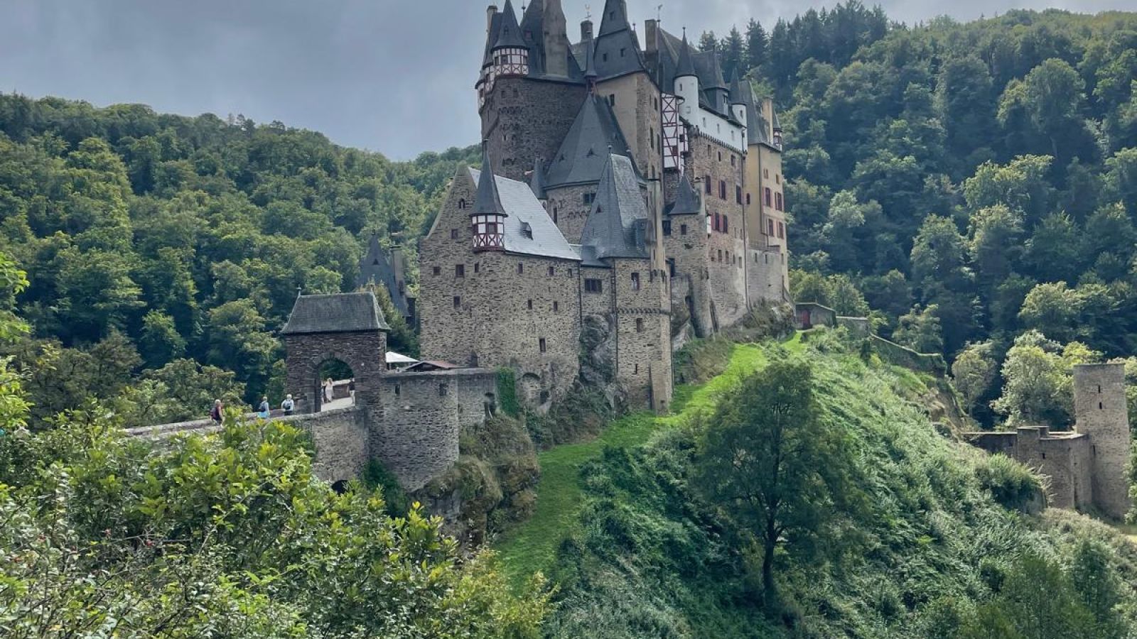 Blick aus dem Wald auf die Burg