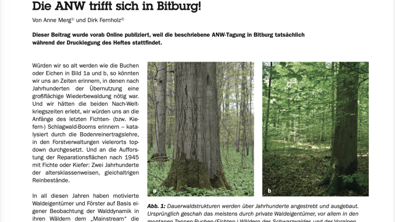 Hier zu sehen, der erste Textbschnitt des Berichtes