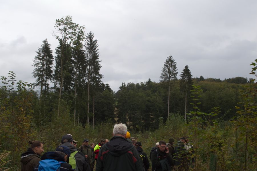 Bild zu: Bericht zur Exkursion im Wald des Grafen Walderdorff Bild zu: Bericht zur Exkursion im Wald des Grafen Walderdorff
