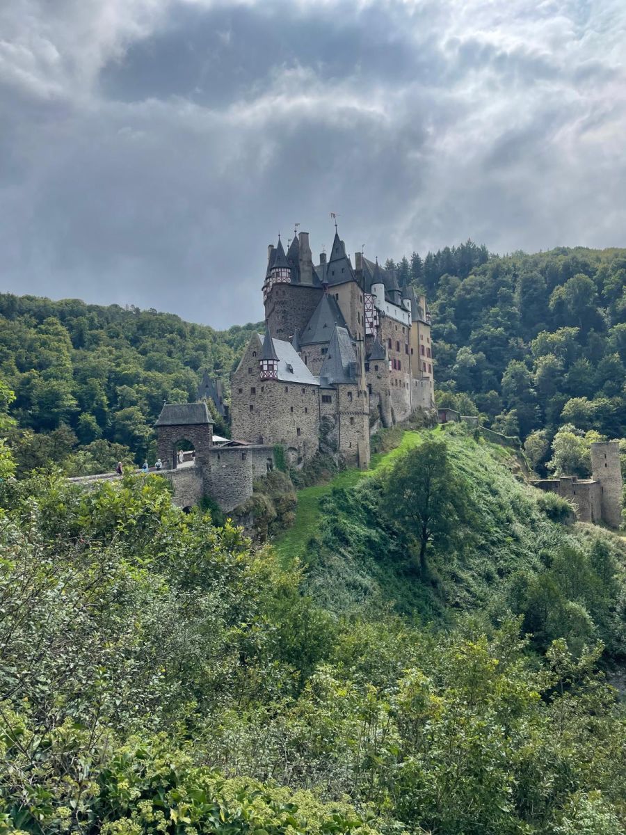 Bild zu: Bericht zur Exkursion in den Wald der Grafen zu Eltz Bild zu: Bericht zur Exkursion in den Wald der Grafen zu Eltz