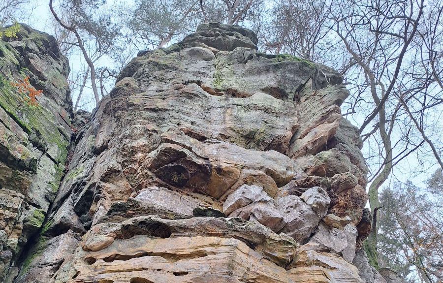 Bild zu: Bericht zur Exkursion ins Forstrevier Irrel in der Südeifel Bild zu: Bericht zur Exkursion ins Forstrevier Irrel in der Südeifel