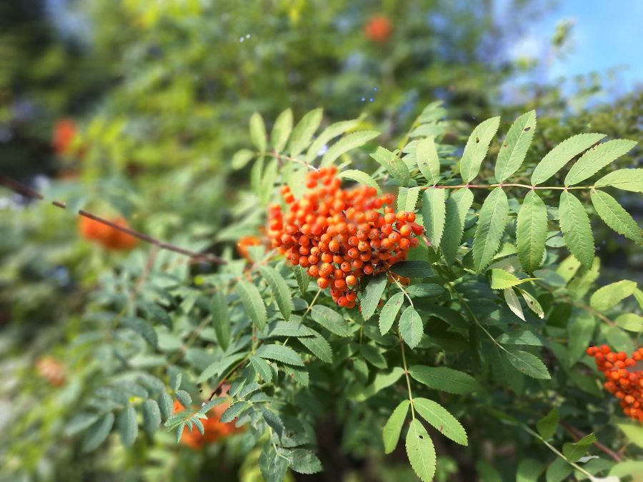 Bild zu: Wir arbeiten am Exkursionsplan für das Jahr 2026