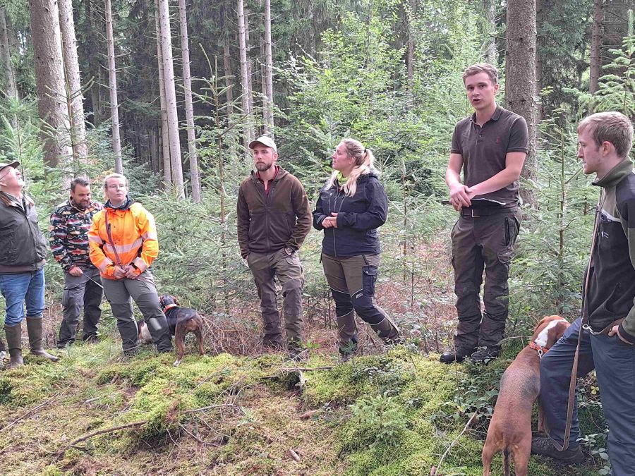Bild zu: Exkursionsbericht Forstrevier Pelm, Forstamt Gerolstein Bild zu: Exkursionsbericht Forstrevier Pelm, Forstamt Gerolstein