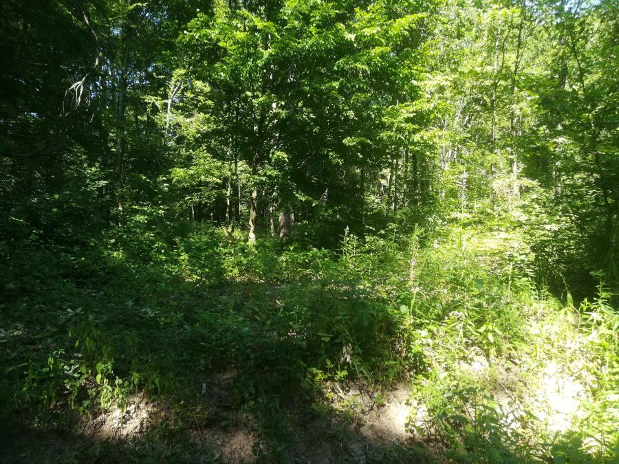 Bild zu: Beispielbetrieb 2 Gemeinde Großsteinhausen