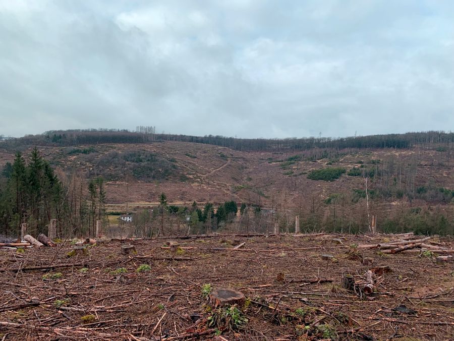 Bild zu: #waskannjagd Bild zu: #waskannjagd