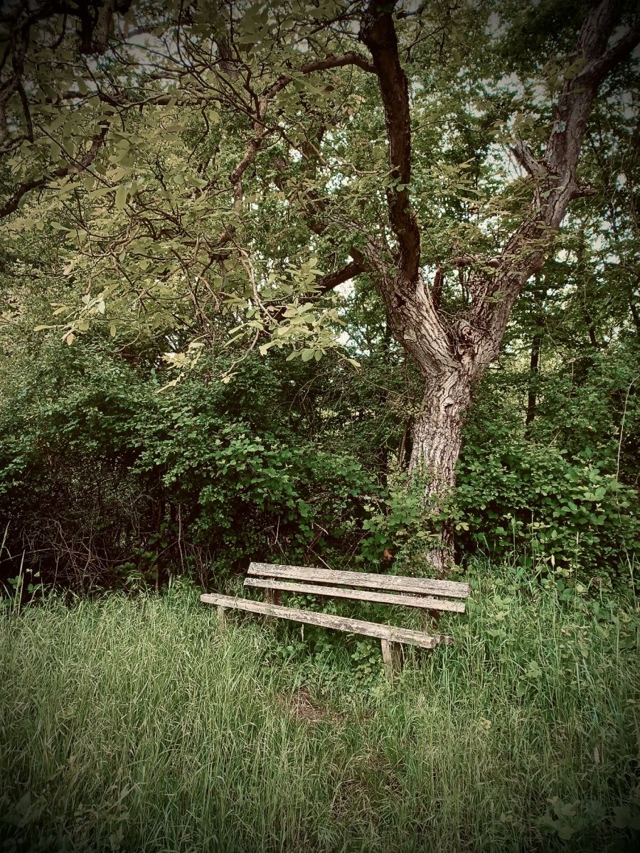 Bild zu: #eigentumverpflichtet Bild zu: #eigentumverpflichtet