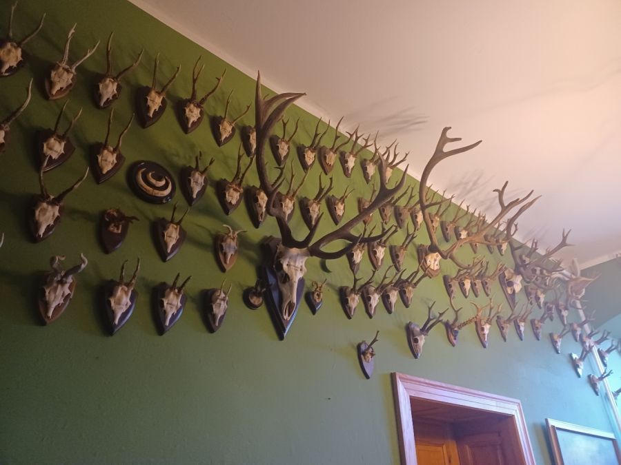 Bild zu: #jagengesternundheute Bild zu: #jagengesternundheute