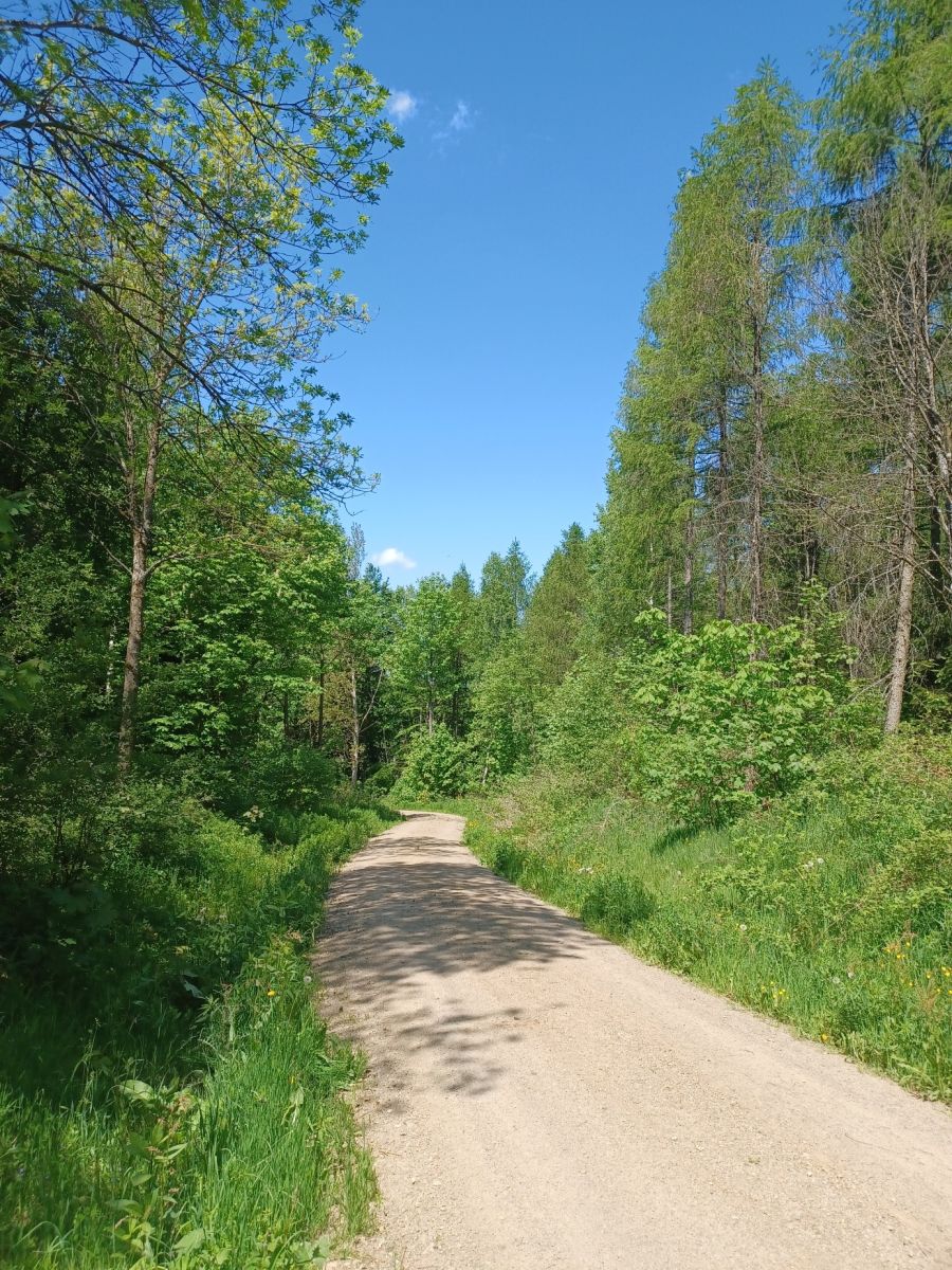 Bild zu: #artenvielfaltsteigern Bild zu: #artenvielfaltsteigern