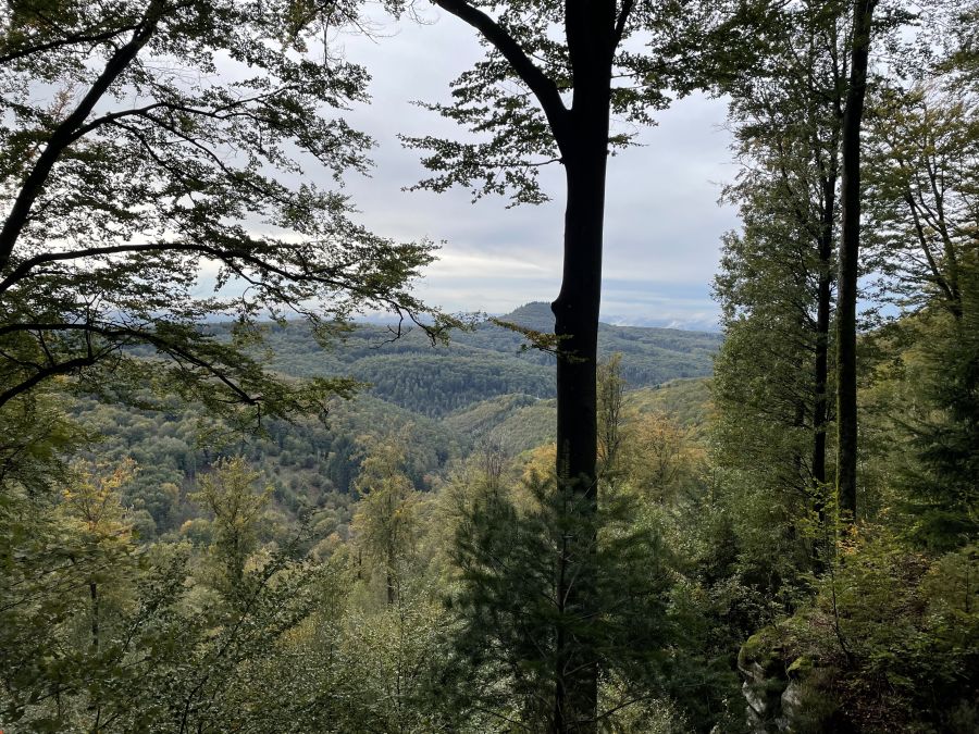 Bild zu: Exkursionsbericht Bild zu: Exkursionsbericht