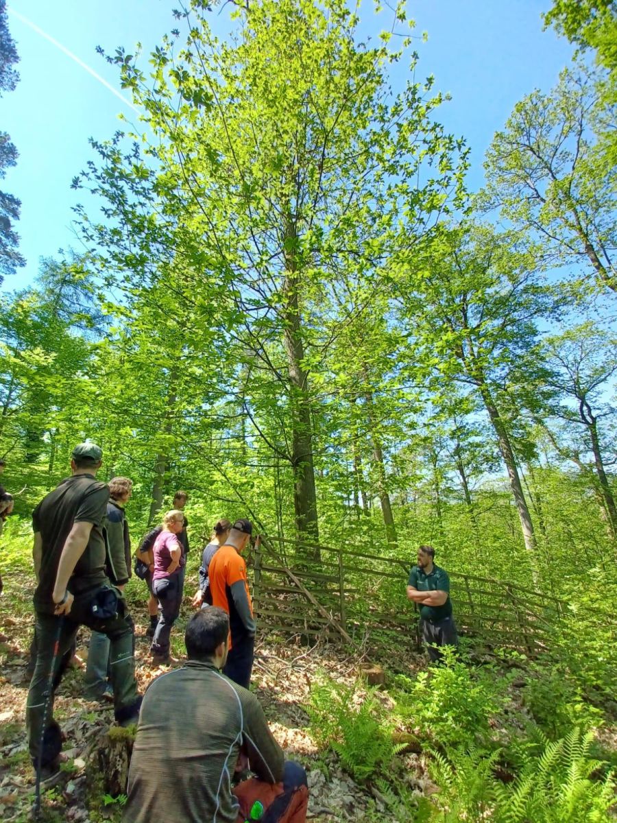 Bild zu: Es wächst das, auf das Sie Ihre Aufmerksamkeit lenken Bild zu: Es wächst das, auf das Sie Ihre Aufmerksamkeit lenken